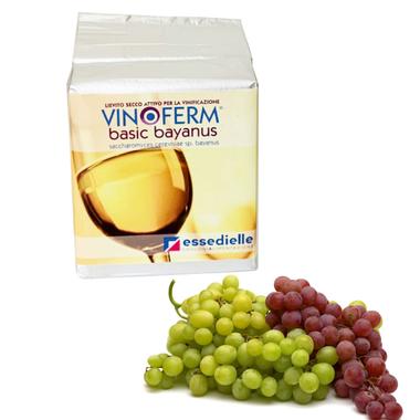 KG.0,5 LIEVITO ENOLOGICO Universale Vinoferm®Basic (Bayanus) anche per arresti di fermentazione